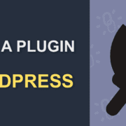 What Is A Plugin