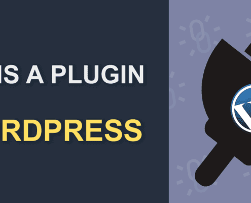 What Is A Plugin