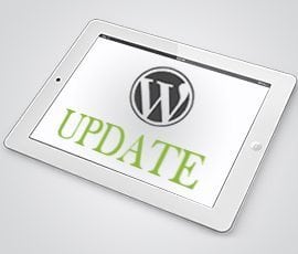 What Is a WordPress Update?