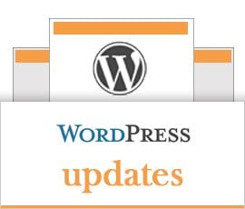 Why Is It Important to Keep Your WordPress Updated?