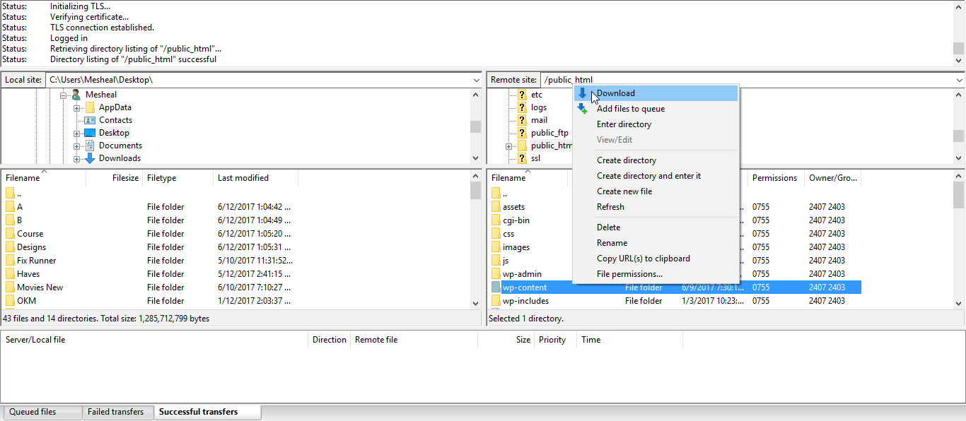 Backup wp-content folder