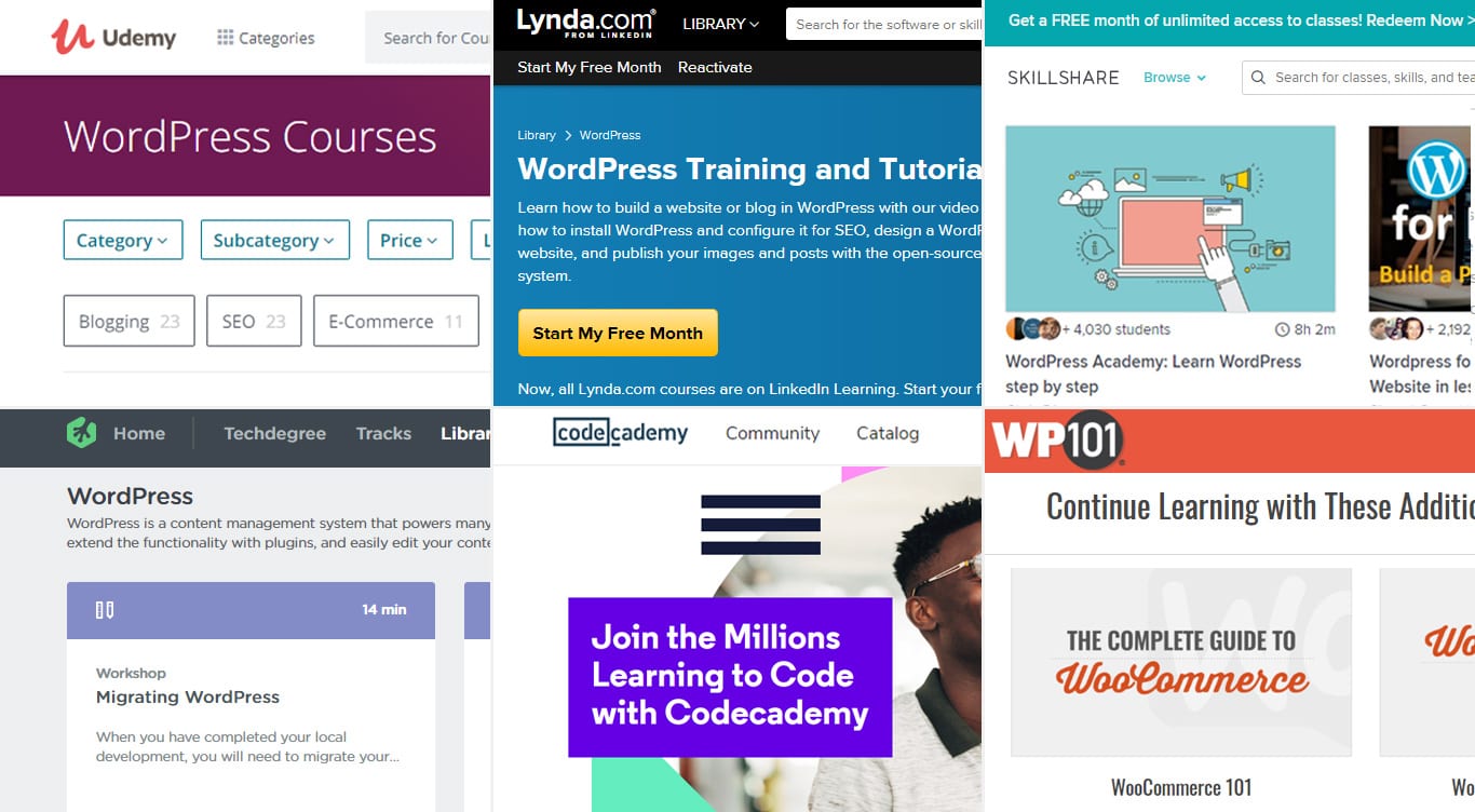 WordPress courses online