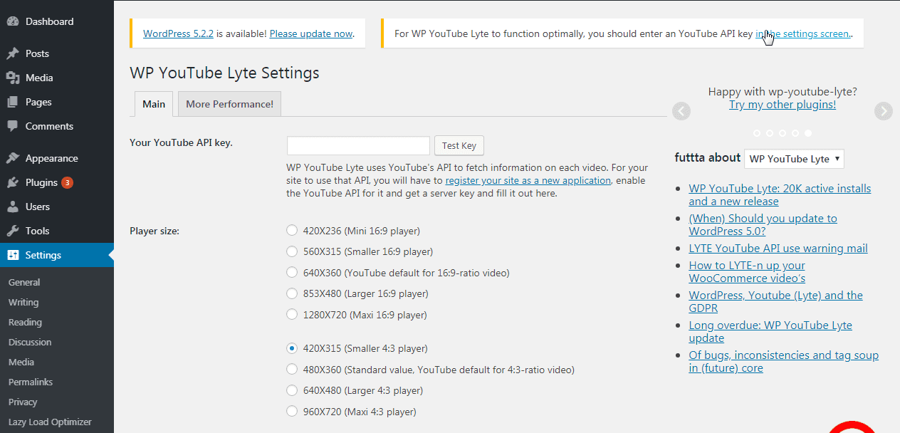 WordPress YouTube Lyte settings