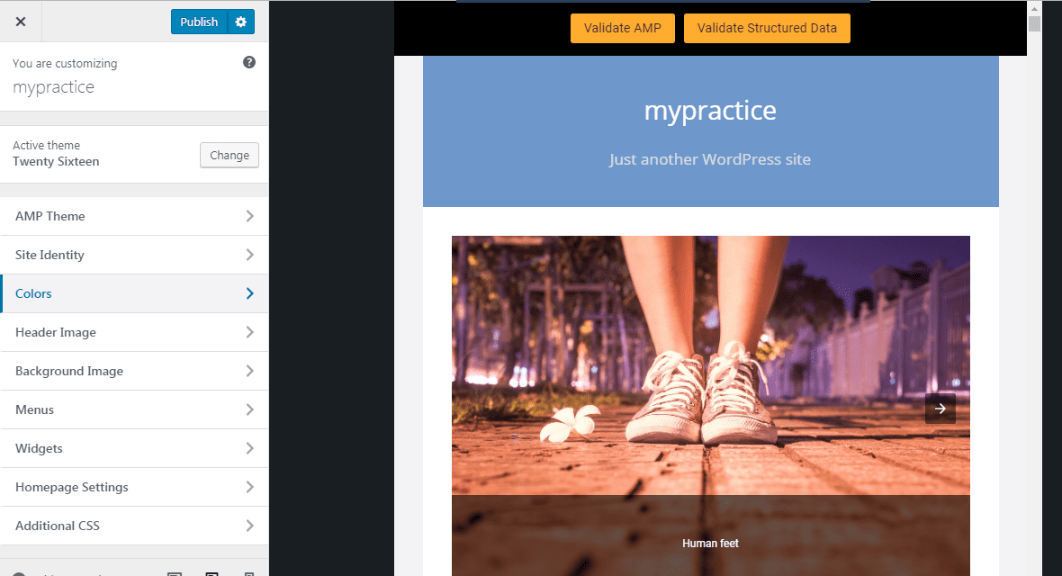 WordPress Amp Plugins Customizing Page