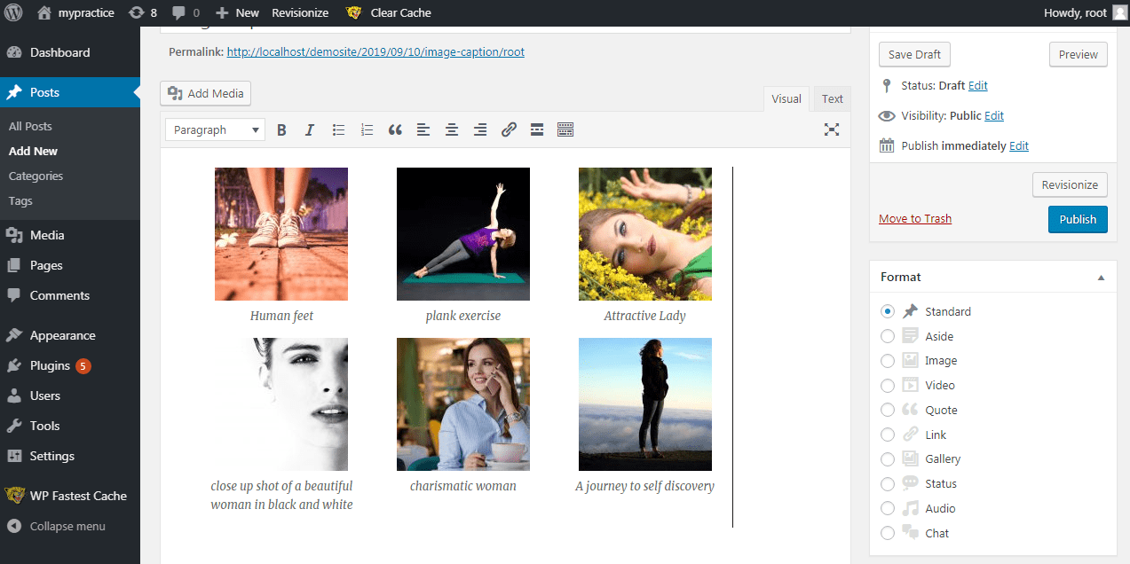 Create a WordPress Image Gallery and Add Captions to Images preview