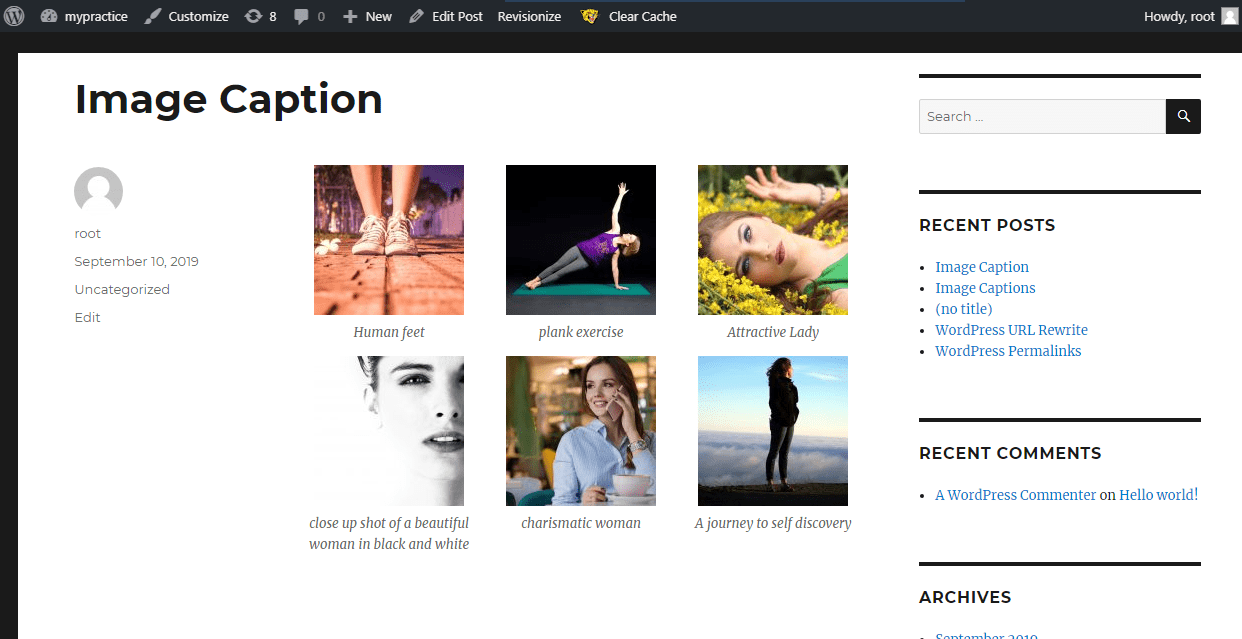 Create a WordPress Image Gallery and Add Captions to Images publish