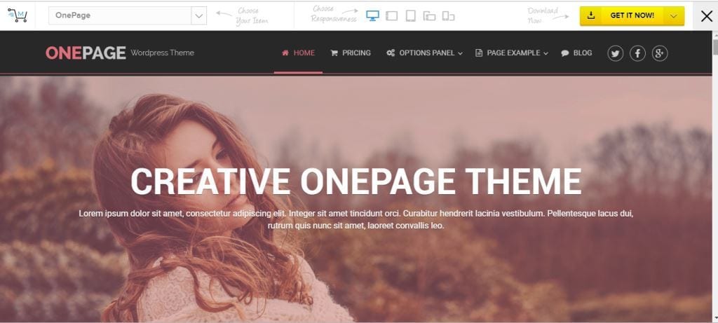 Onepage - One page WordPress theme