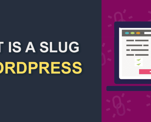 What is a Slug in WordPress