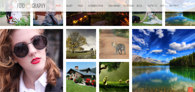 Fotography portfolio section - free WordPress portfolio themes