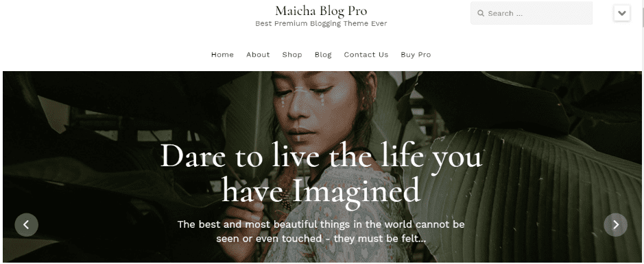 Maicha Blog - wordpress blog themes