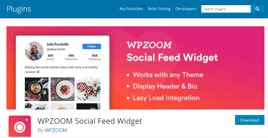 WPzoom Social feed Widget