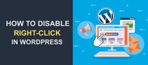 How to Disable Right Click in WordPress