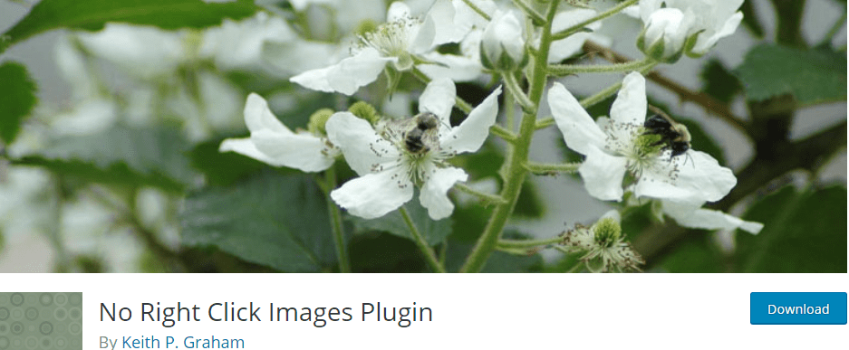 No right click images Plugin
