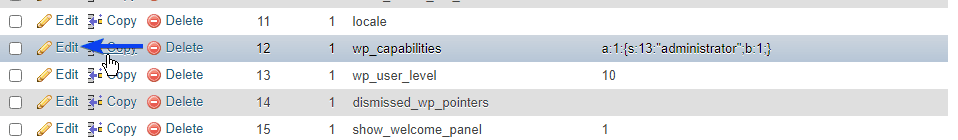 edit wp_capabilities
