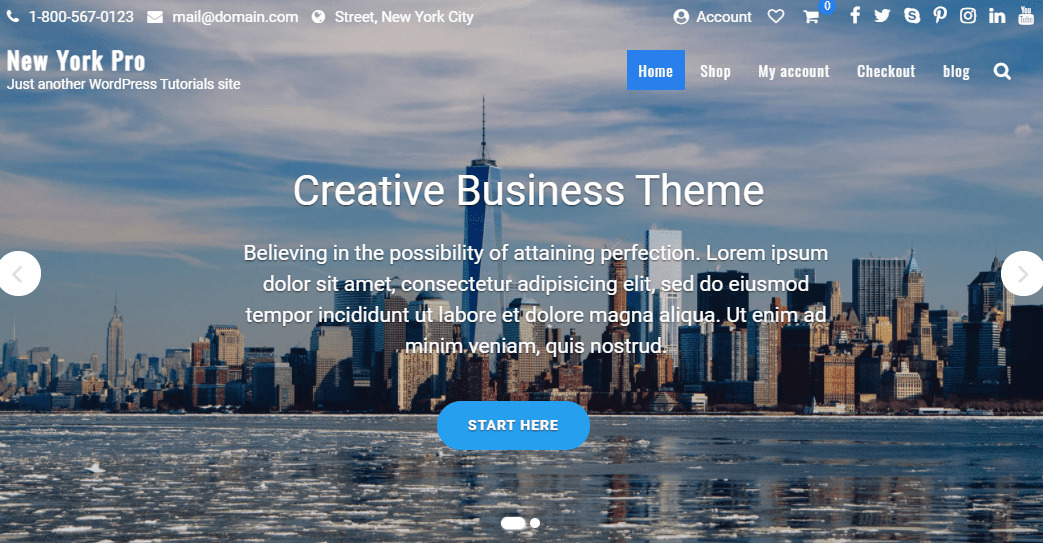 New York Business WordPress Themes