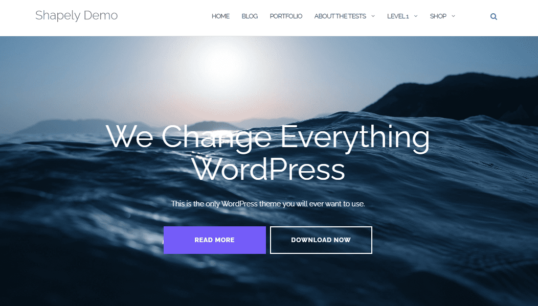 Shapely WordPress Business Themes