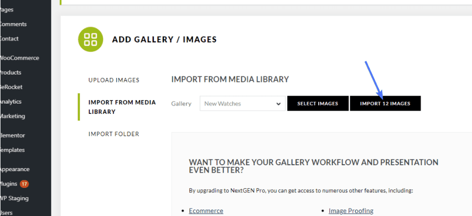 WordPress gallery - import images