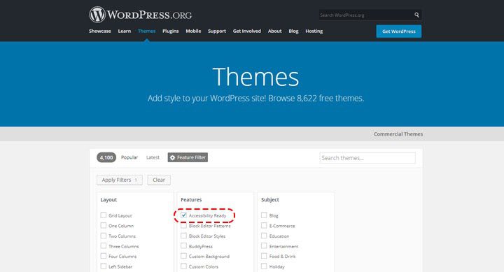 2 WordPress themes fully accessible