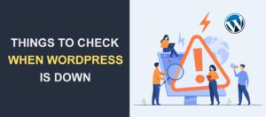 10 Things to Check When WordPress is Down