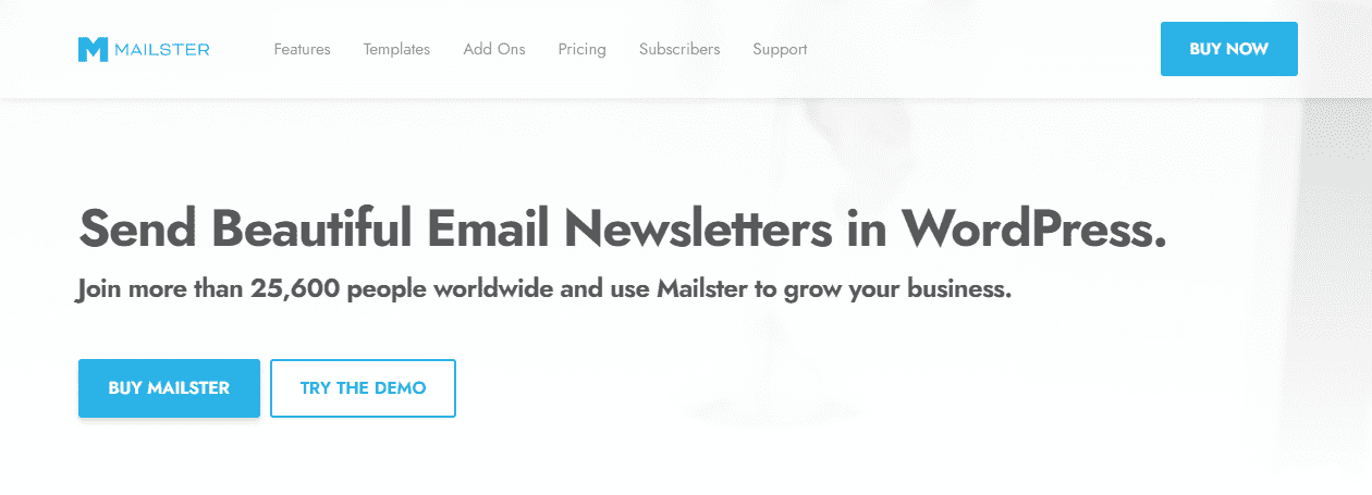 Mailster Newsletter Plugin