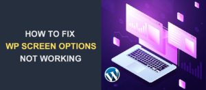 WordPress Screen Options not Working - How to Fix this Error
