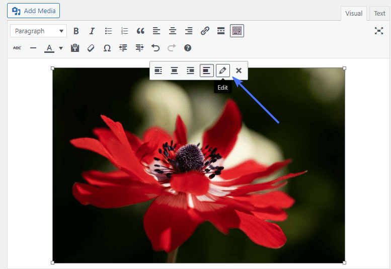 Adding title attribute to images with the Classic Editor