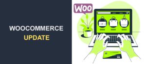 WooCommerce Update - How to Perform It Properly