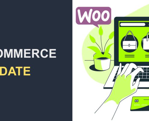 WooCommerce Update - How to Perform It Properly