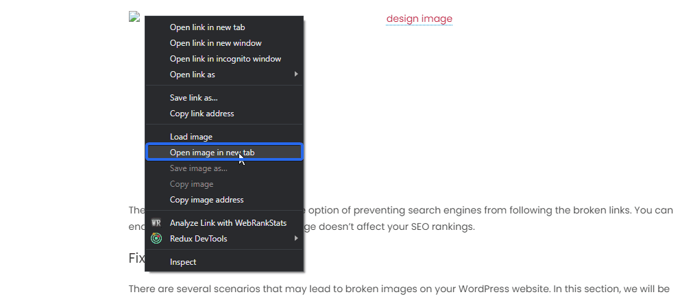 Select Open image in new tab