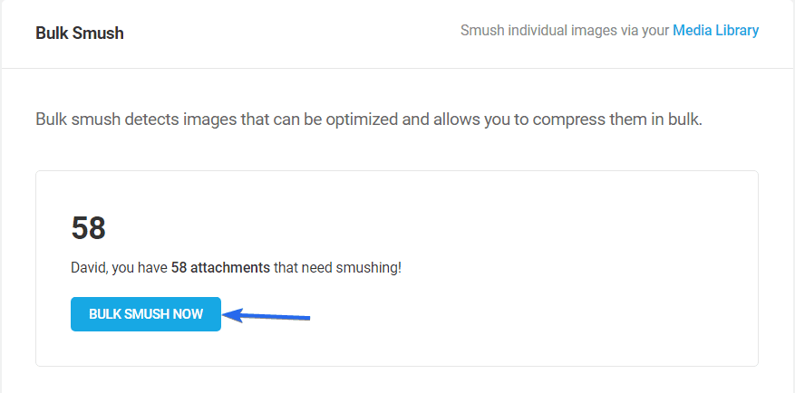 Optimize images by clicking Bulk Smush Now button