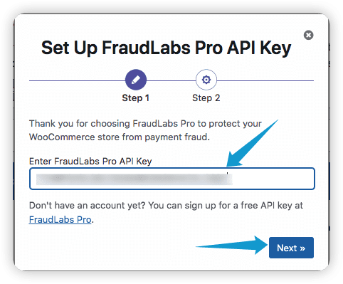 Enter API key