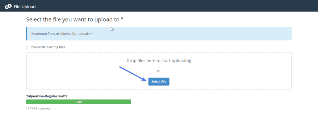 Select file and upload