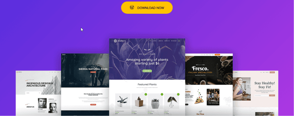 Astra WooCommerce Themes